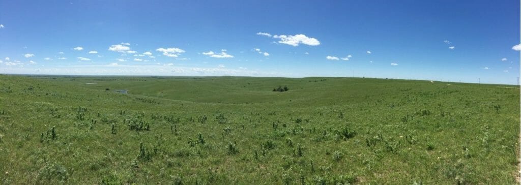 Rolling grass plains of Emporia Kansas with no end in sight
